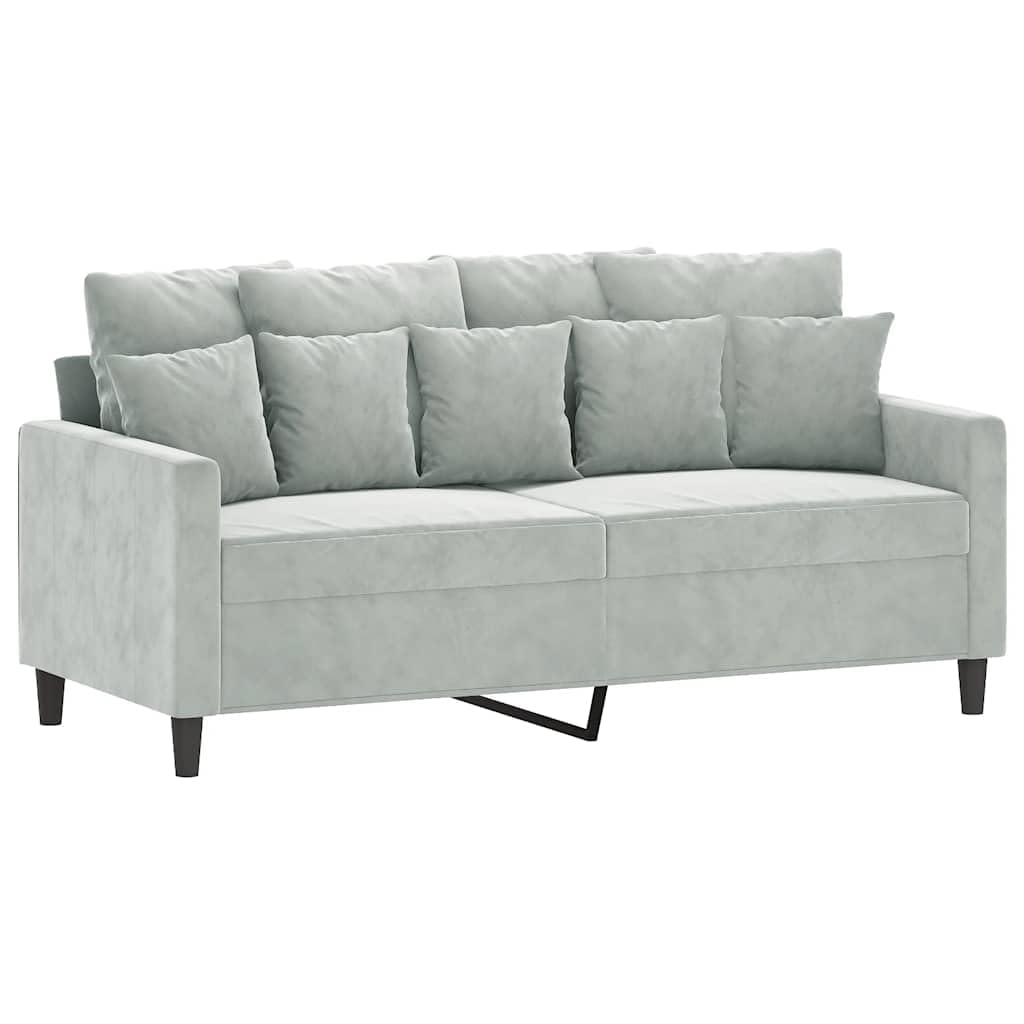Light Gray Velvet 2-Seater Sofa F6151