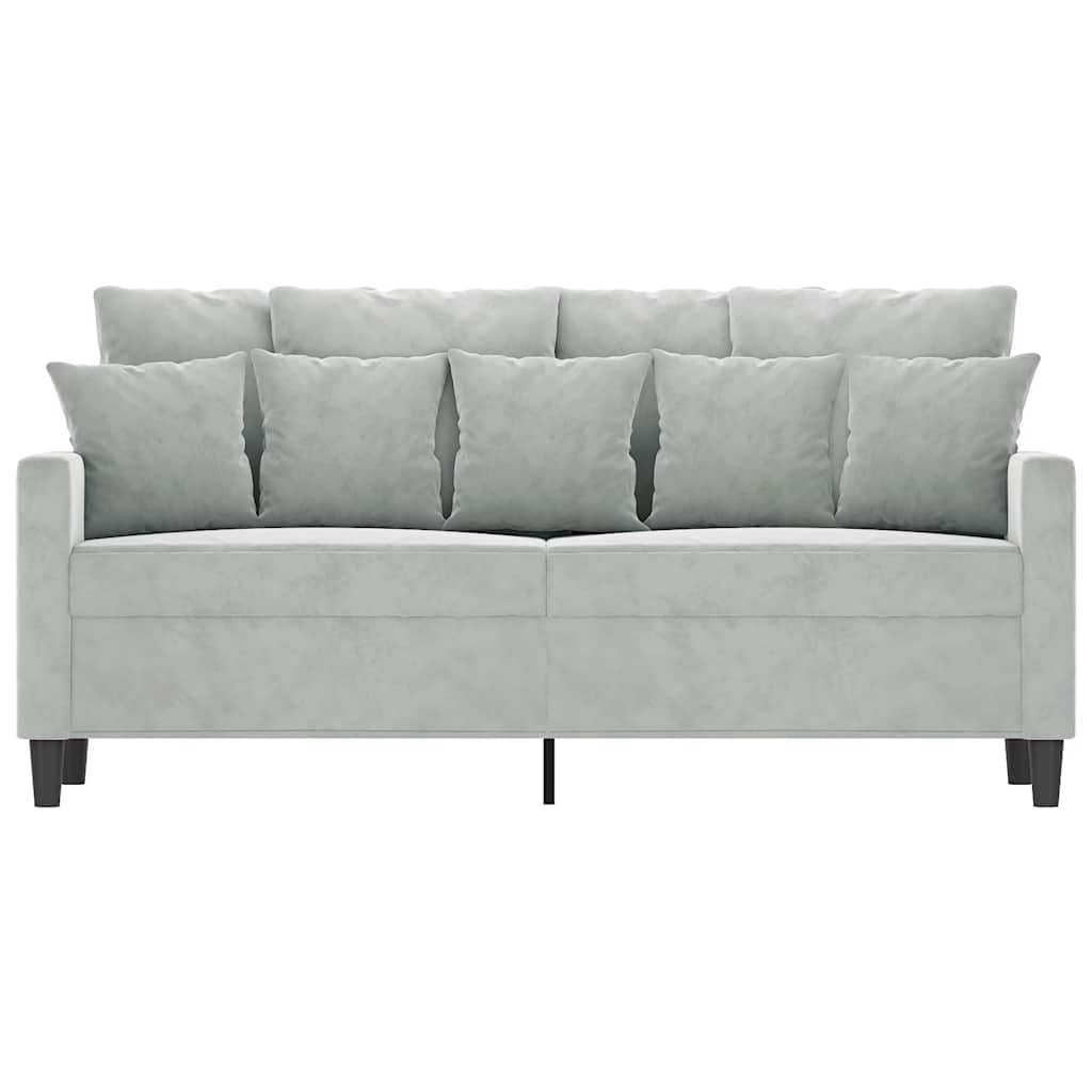 Light Gray Velvet 2-Seater Sofa G889436