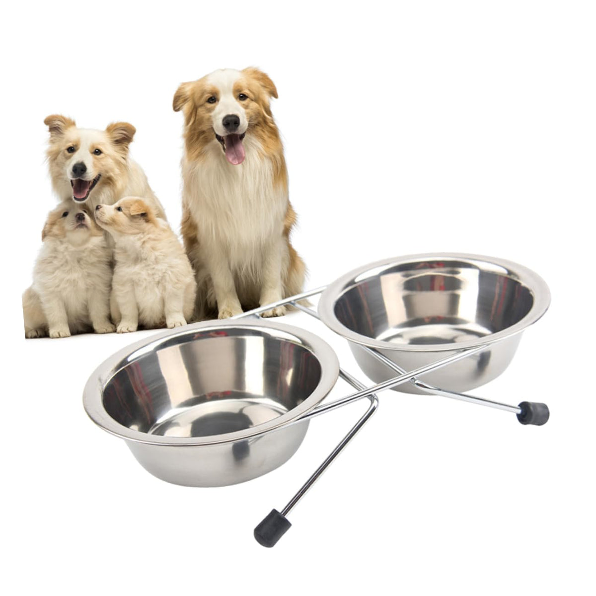 Stainless Steel Dog Cat Bowls Set W92241