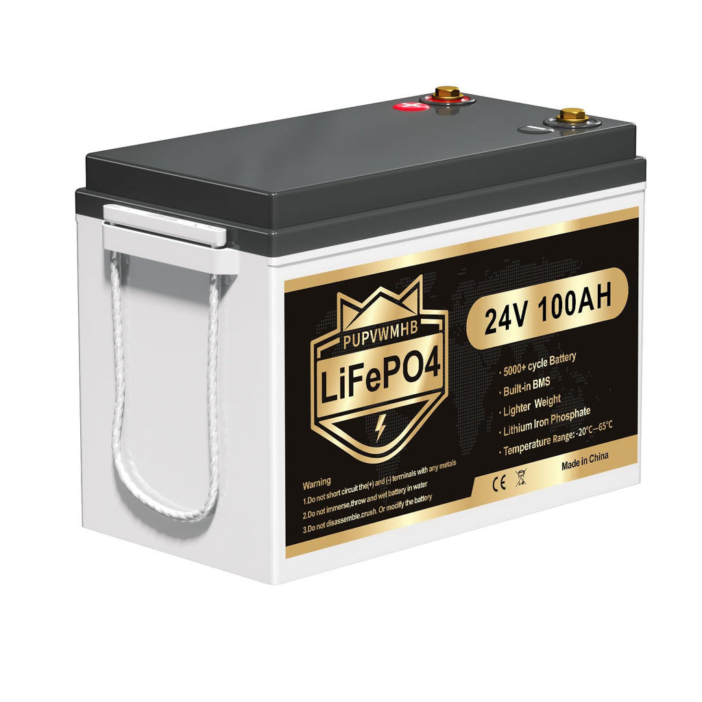 24V 100AH Lifepo4 Battery with 100A BMS H169