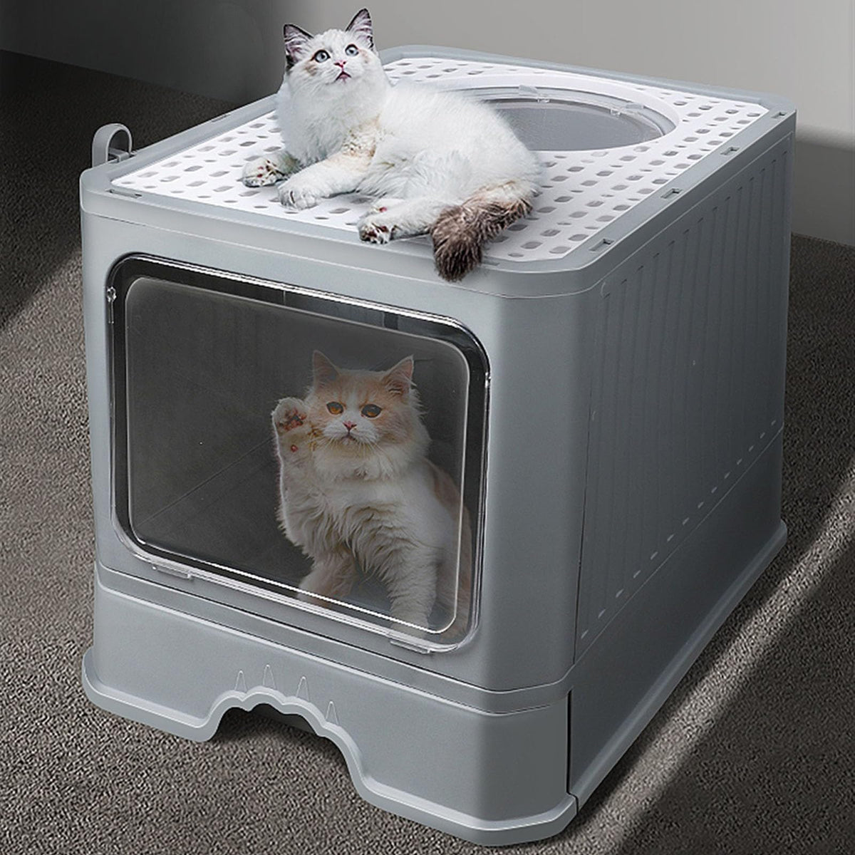 Foldable Enclosed Cat Litter Box with Lid M48603