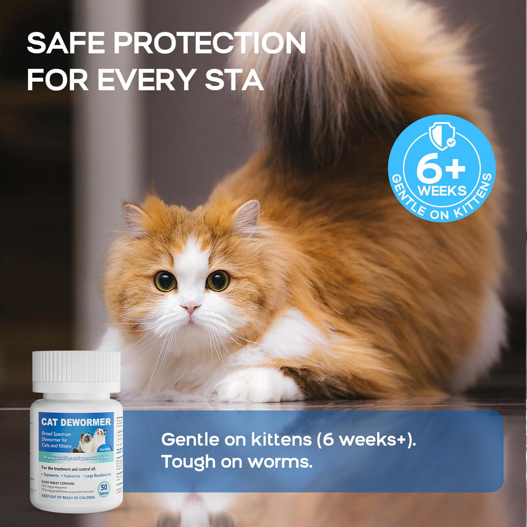 Cat Dewormer All Worms Broad Spectrum S777742