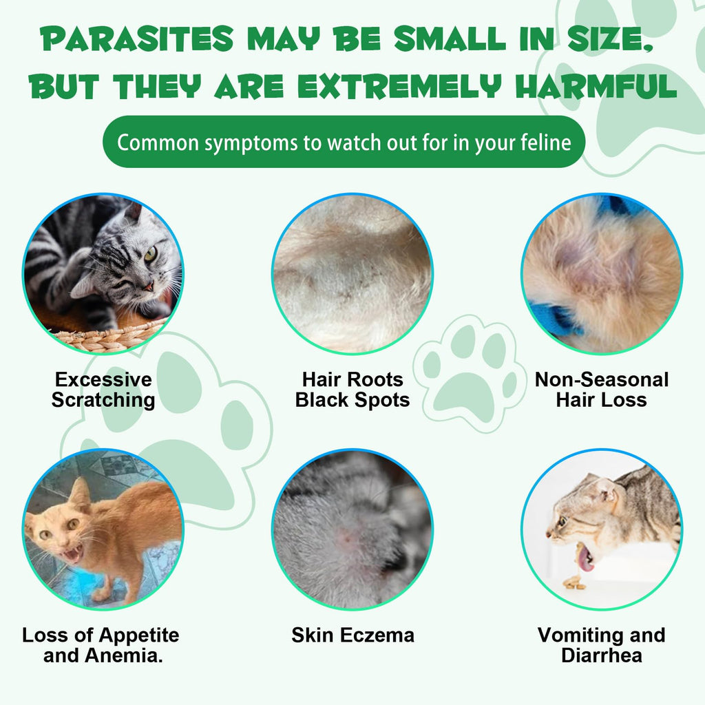 Probiotic Digestive Support for Cats E310657
