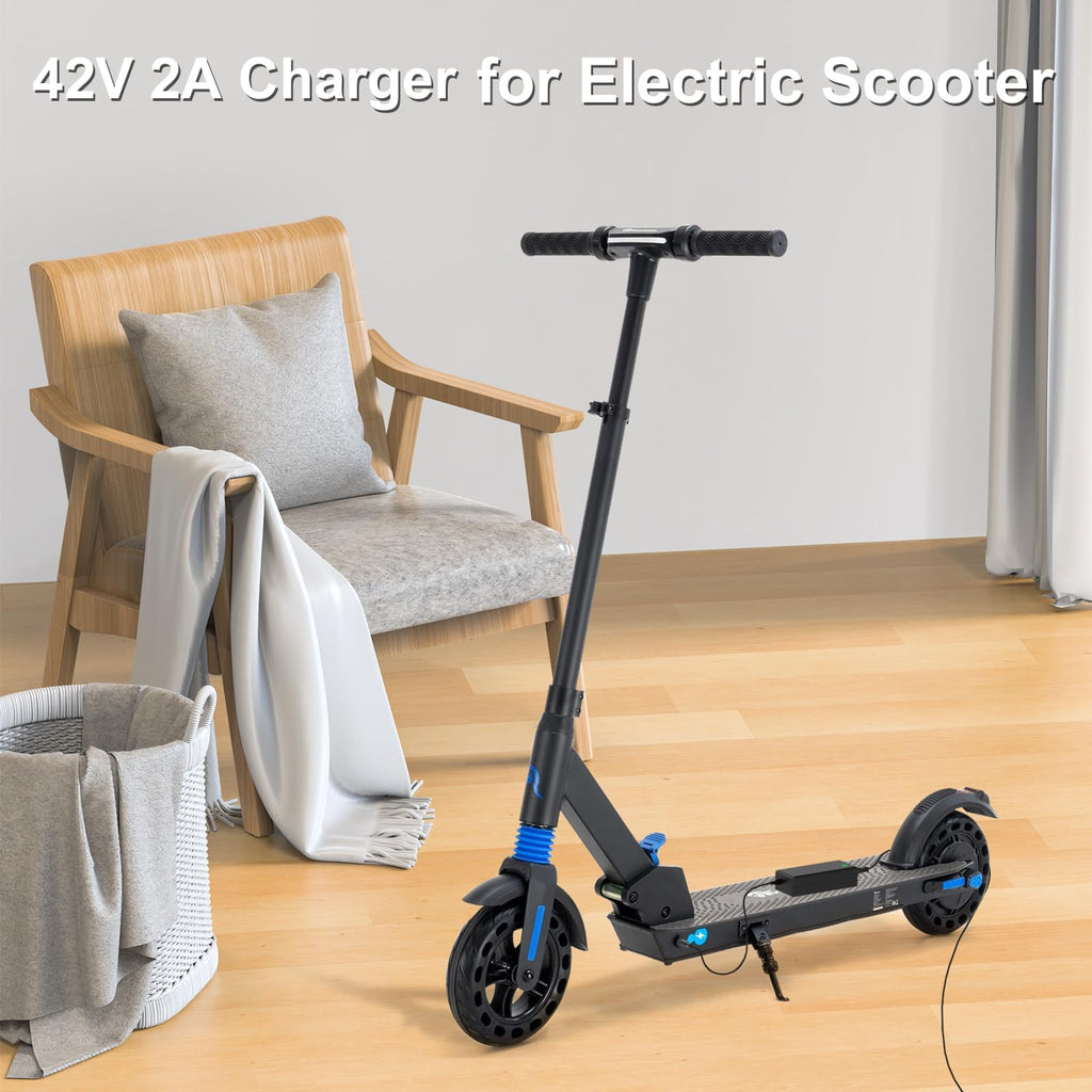 42V 2A Scooter Charger N307