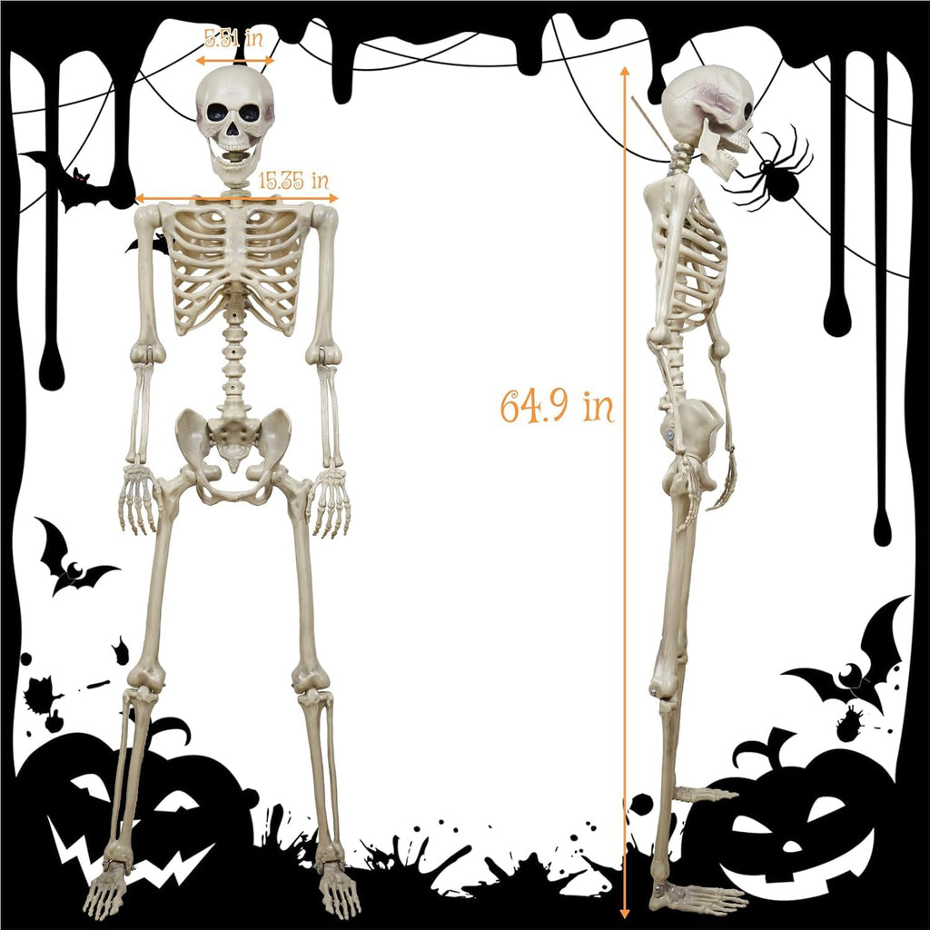 5.4ft Realistic Human Skeleton R268522
