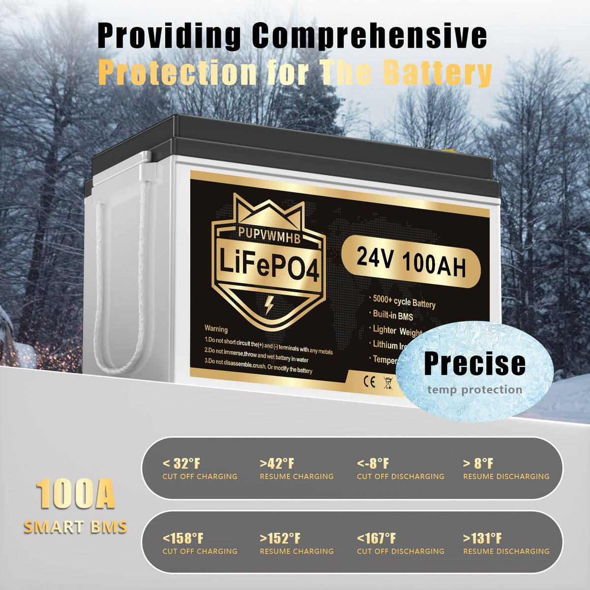 24V 100AH Lifepo4 Battery with 100A BMS H169