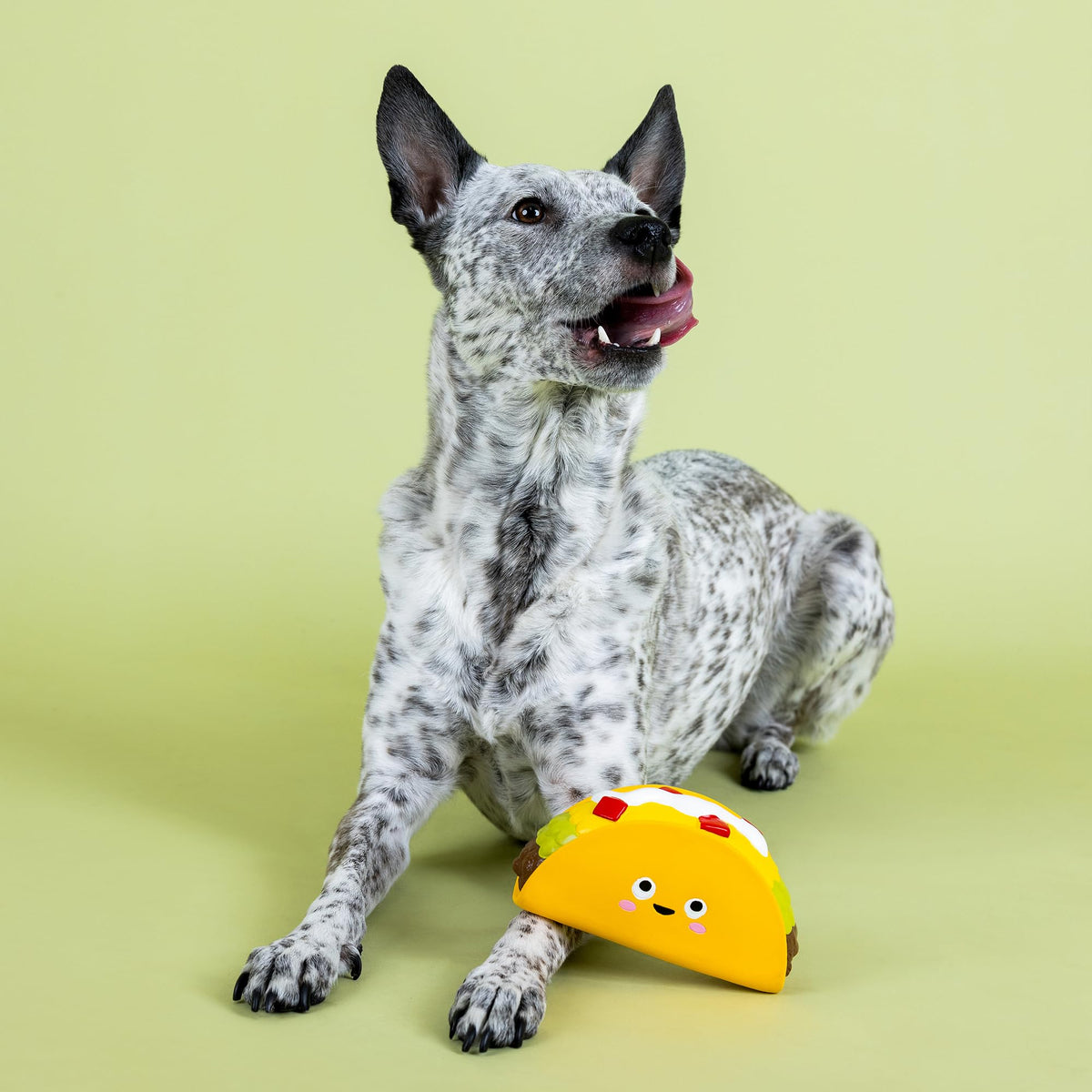 Latex Dog Toy G94066