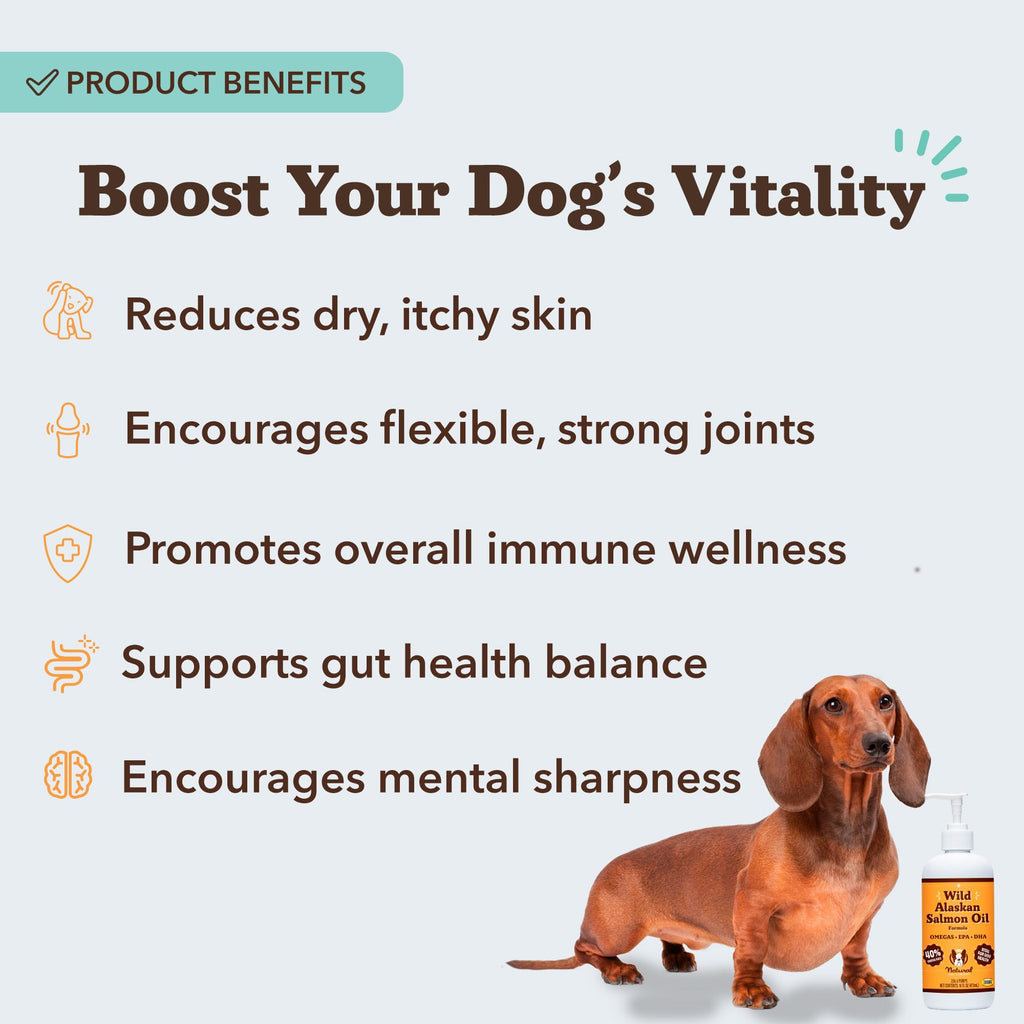 Salmon Oil for Dogs 32 oz Y38856