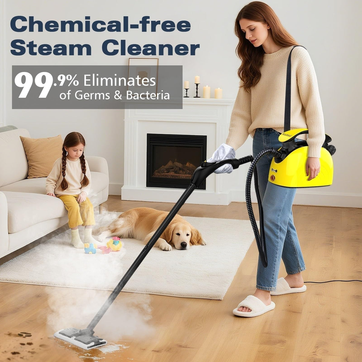 4.5 Bar 300°F Steam Cleaner P5600