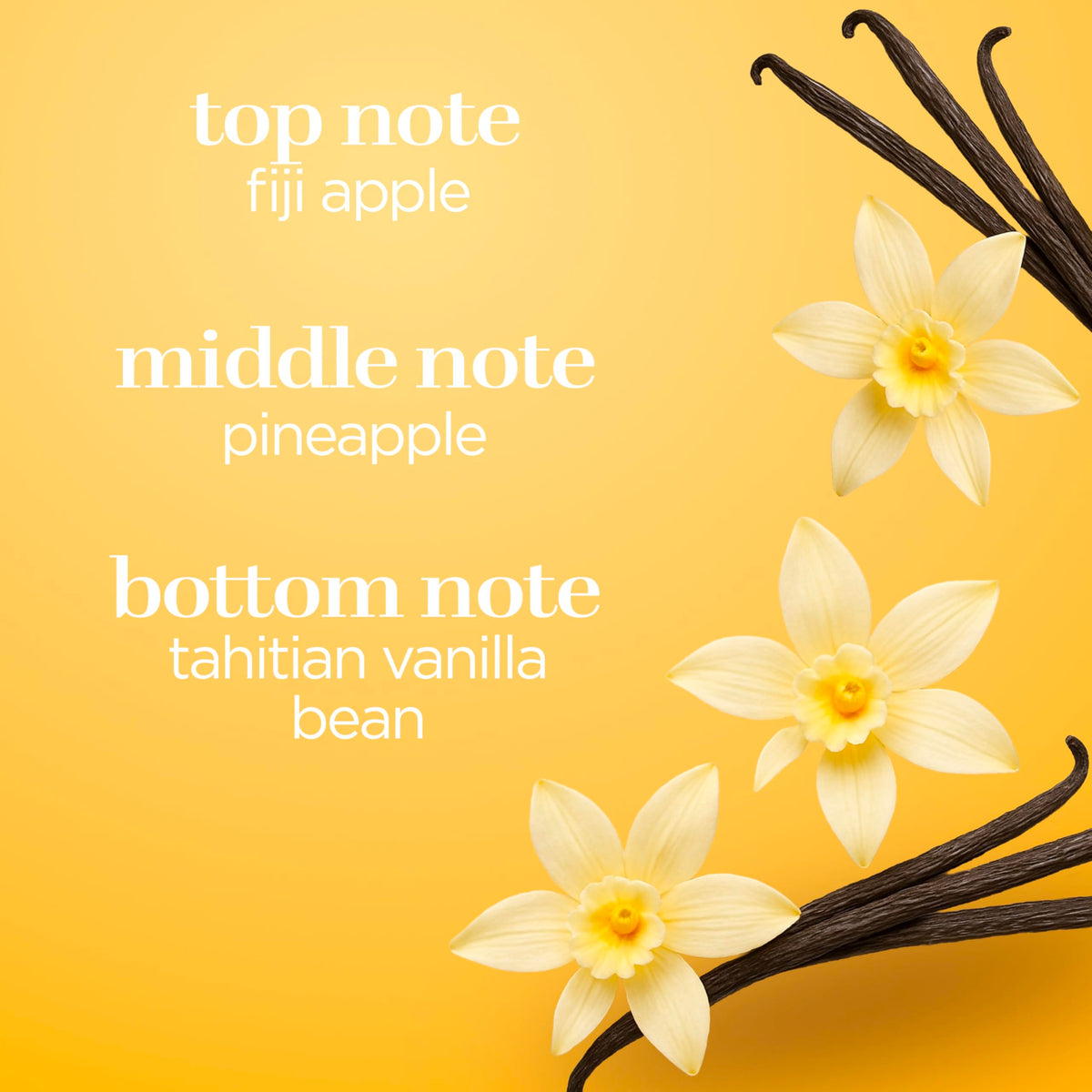 Vanilla Body Spray 8 fl oz (Pack of 2) E172