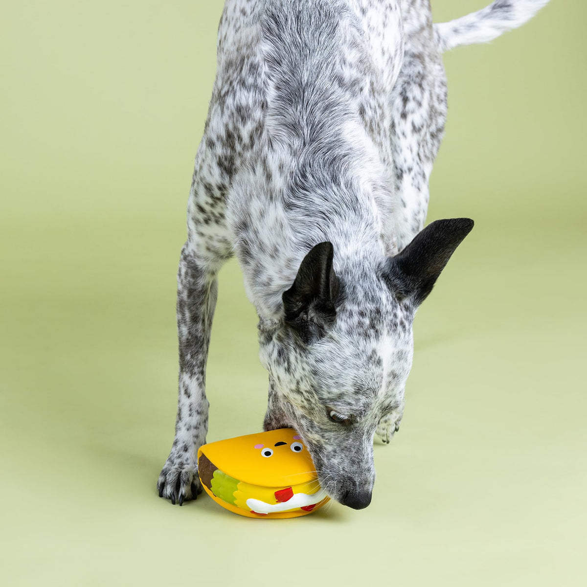 Latex Dog Toy G94066