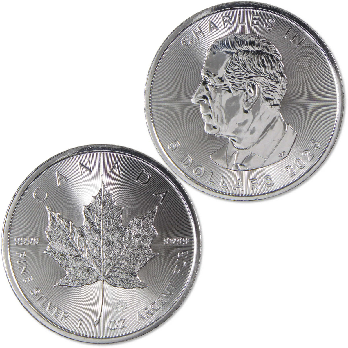 1 oz Silver Maple Leaf Coin S422561