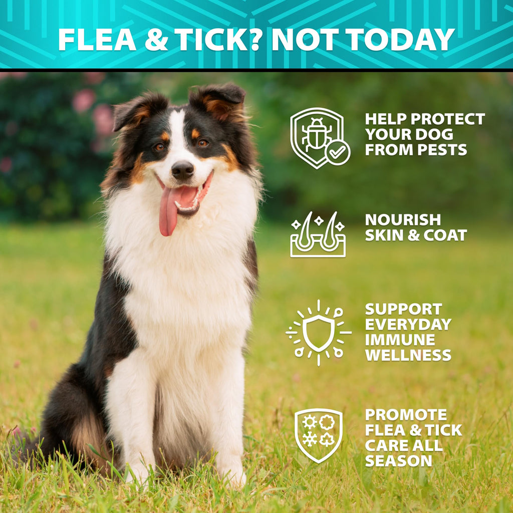 Natural Flea & Tick Chews for Dogs X801