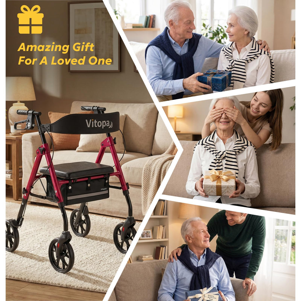 Foldable Rollator with Seat S613