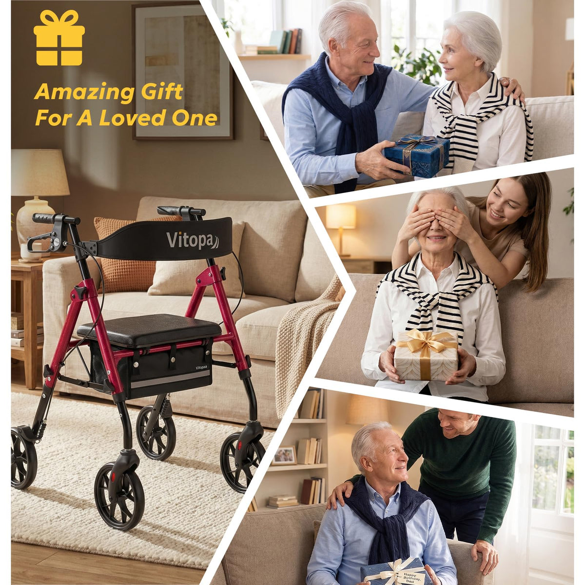 Foldable Rollator with Seat S613