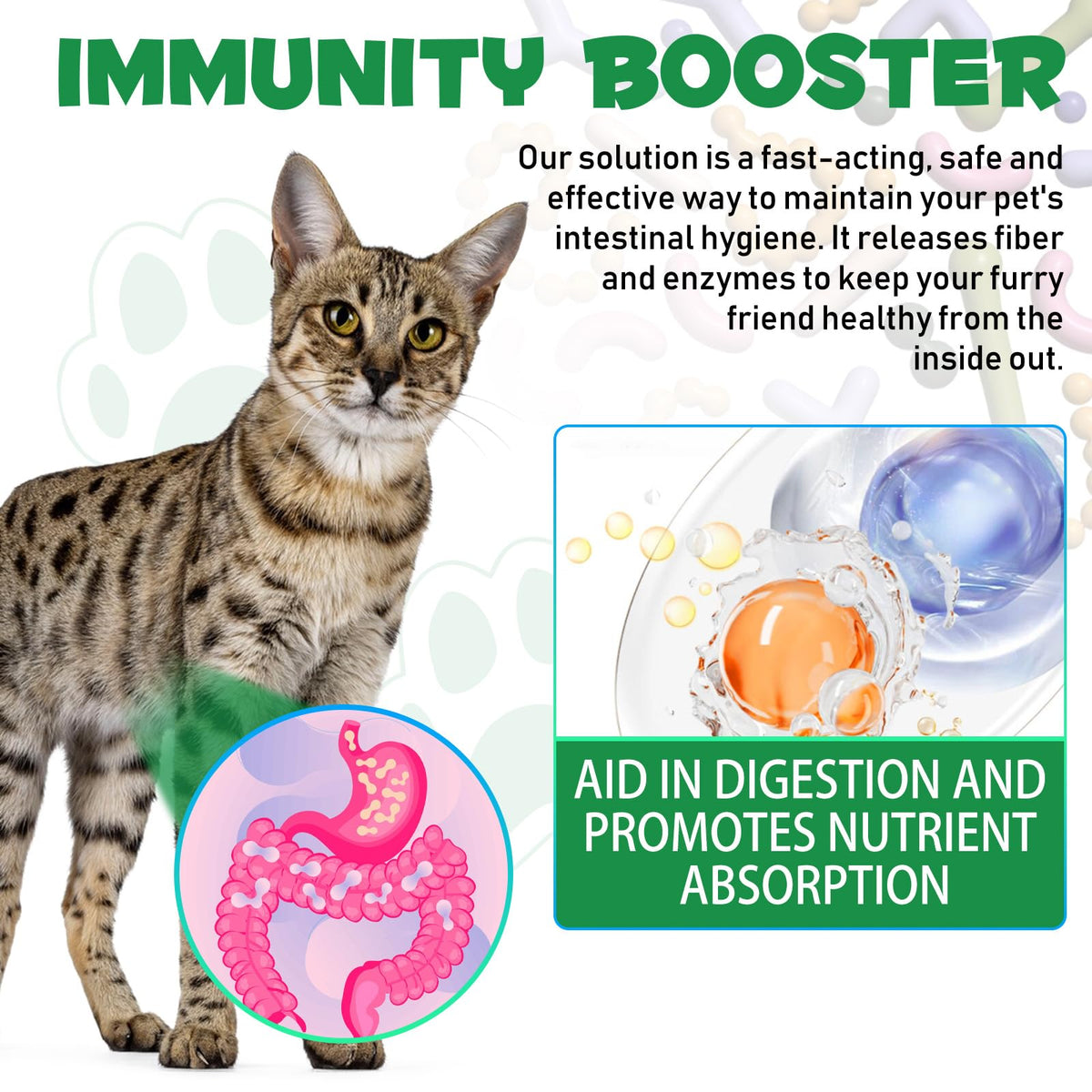 Probiotic Digestive Support for Cats E310657