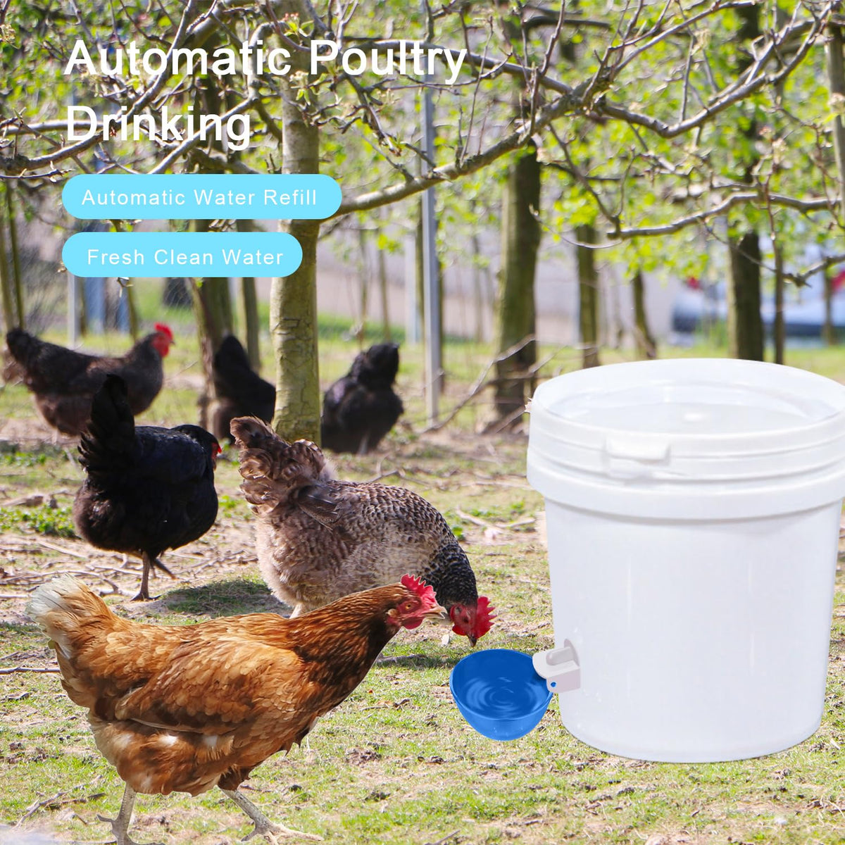 8 Packs Blue Large Chicken Waterer Cups G636559