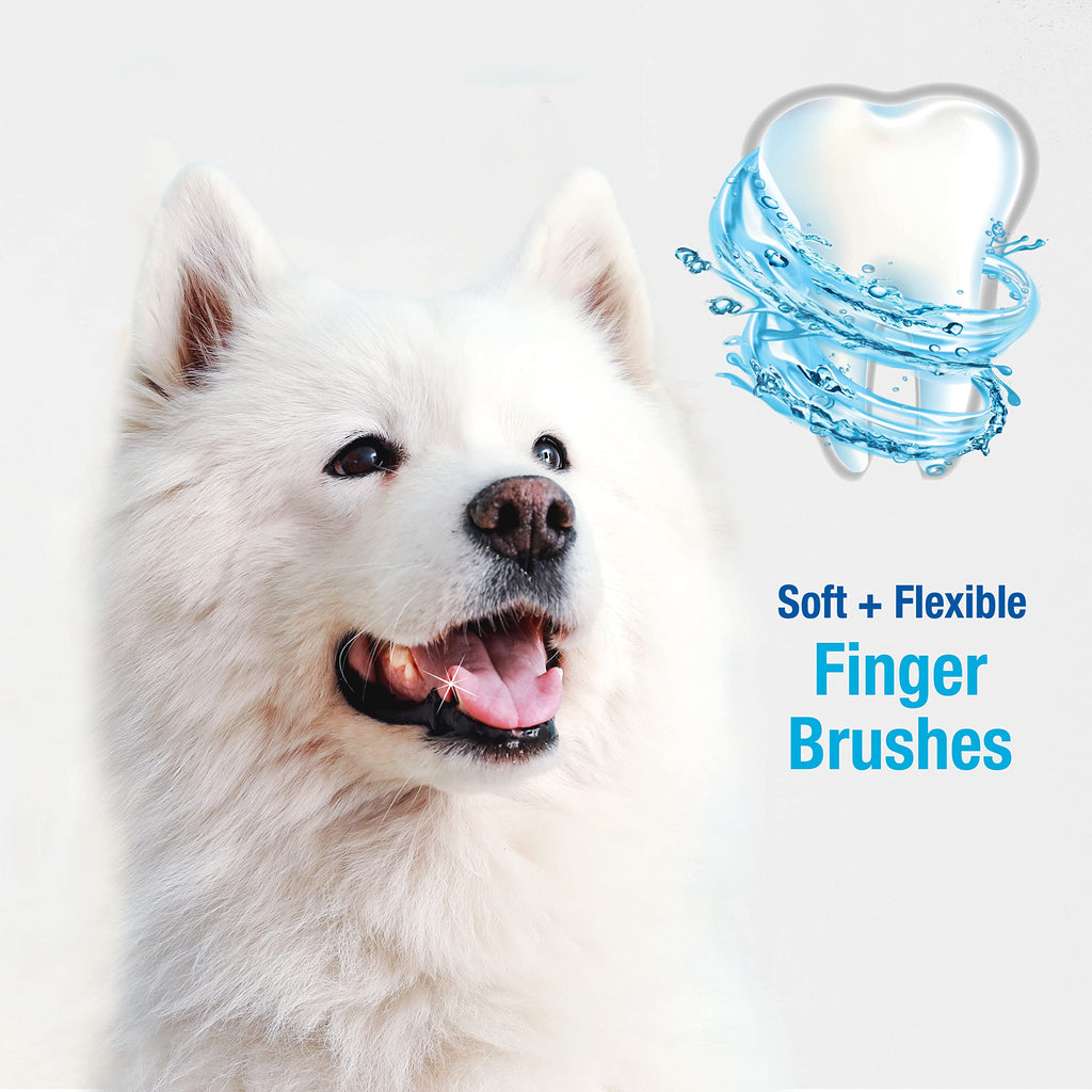 Finger Brush 2 Count A5764