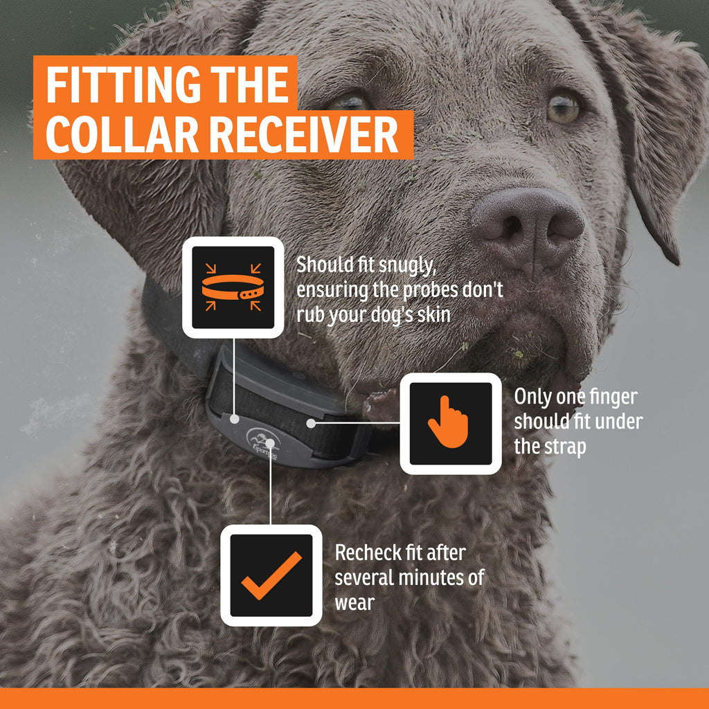 Rechargeable Bark Collar K49359