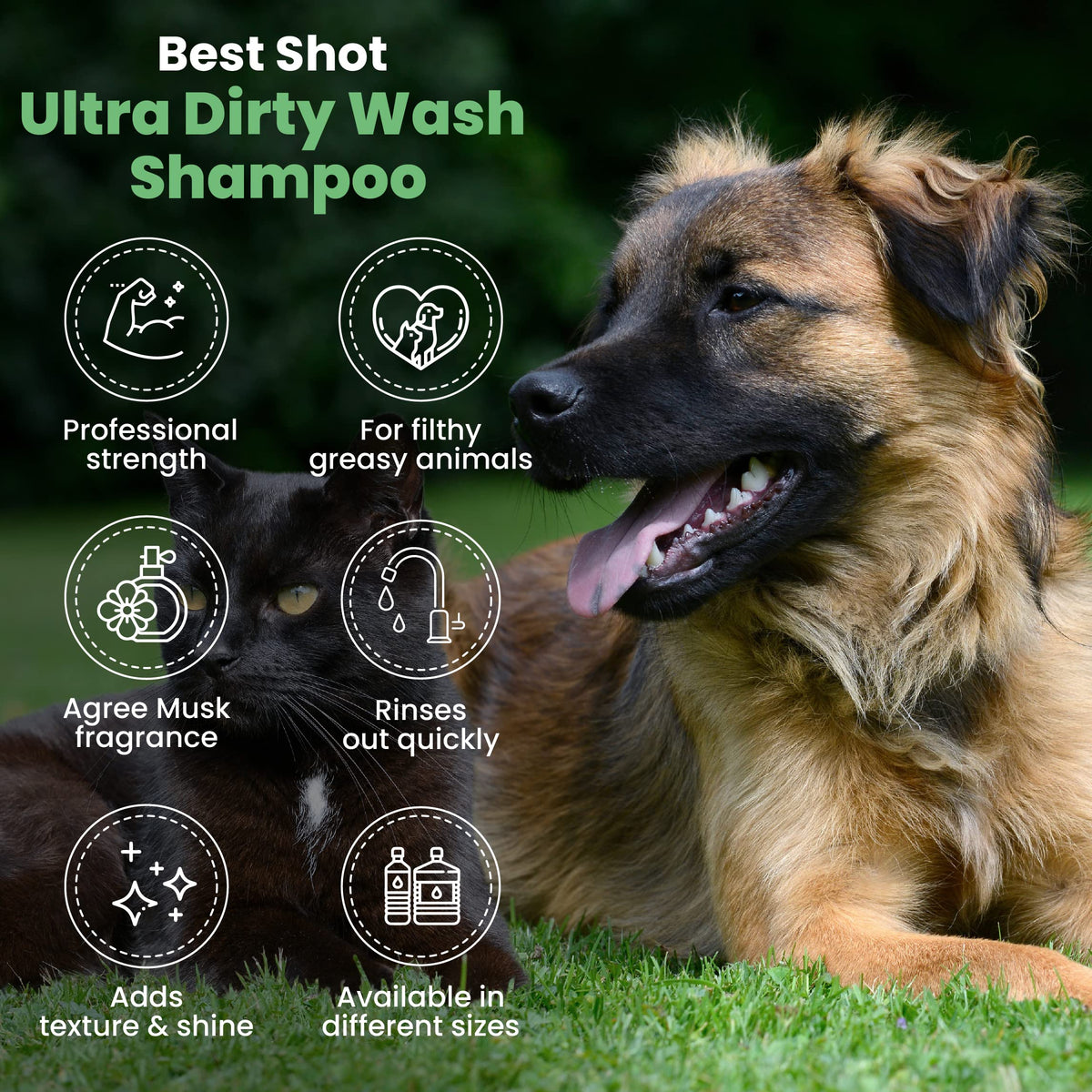Soap-Free Quick-Rinsing Dog and Cat Shampoo 1 Gallon R15242