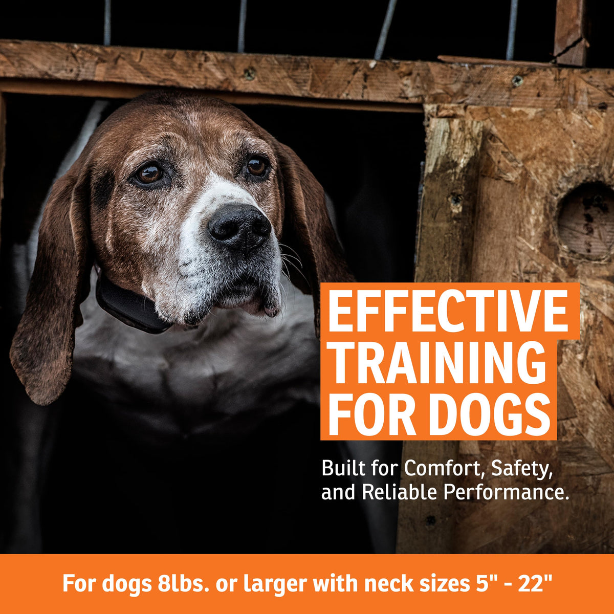Rechargeable Bark Collar K49359
